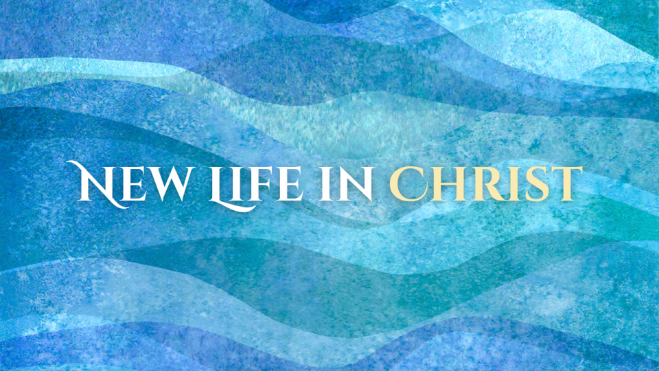 November 2, 2025 Sermon Title