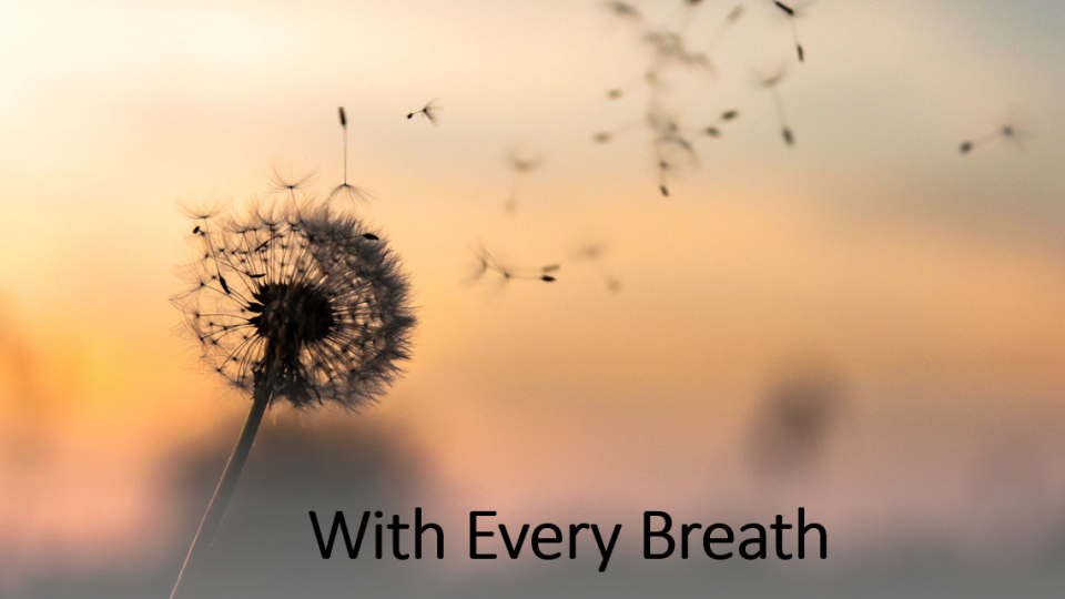 Screenshot 2025-08-02 103943