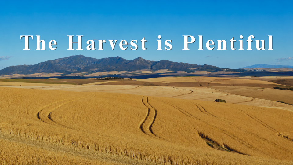 Sermon Slide 6.14